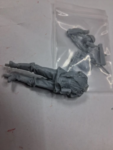 Buyer photo of this resin kit