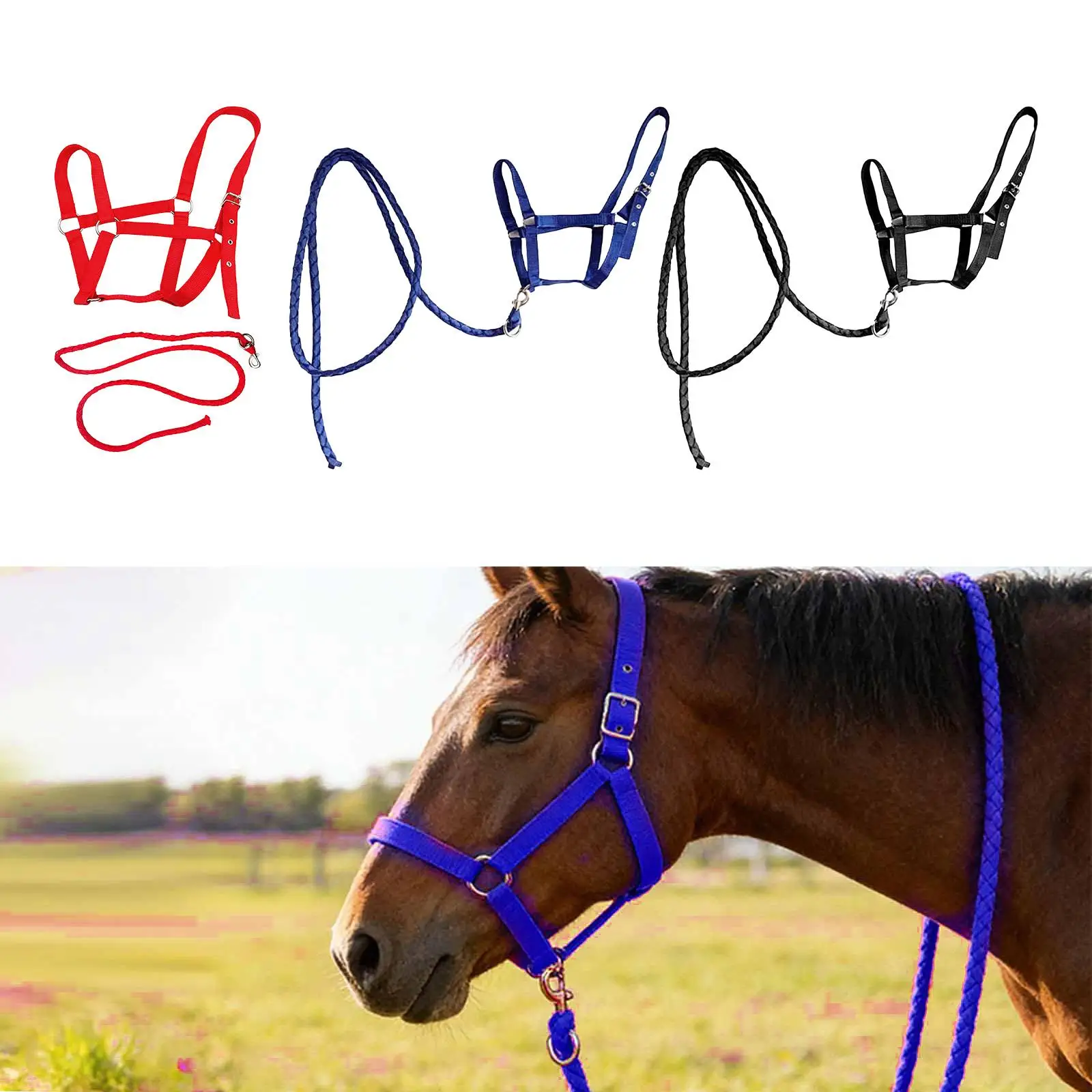 haltere-para-cavalo-com-redea-de-nylon-equipamento-de-treinamento-presente-cabecada-ajustavel-arnes-para-cavalo-para-cavaleiros-equitacao-e-proprietarios-de-equinos
