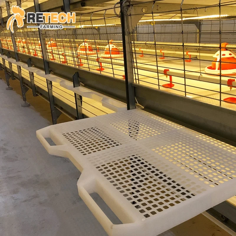 自動耐久性家禽農場H型ブロイラー鶏用バタリーケージ