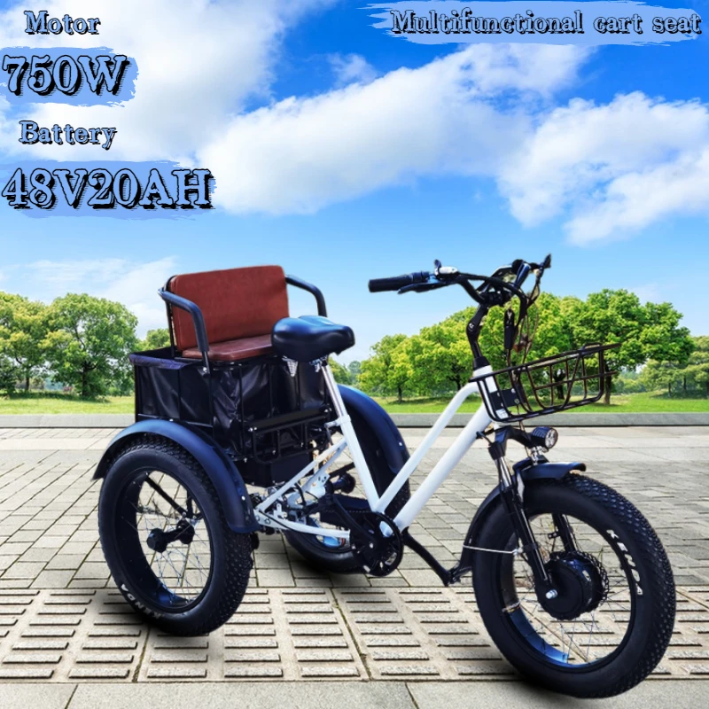 Electric Bicycle 750W Motor 48V20AH 20*4.0 Fat Tire Multi-functional Pull Car Seat Parent-child E-Bike Snow Lithium Battery Bike