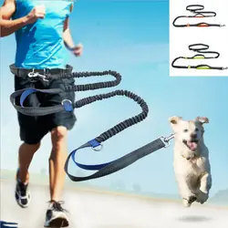 Laisse de coulée élastique pour chien, ULde traction, ceinture de course, mains libres, côtes de jogging, métal, anneau en D, SFP