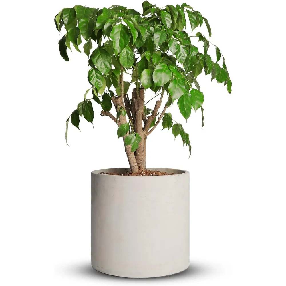 

Cement Plant Pots Indoor - 10 inch Concrete Planter Pot for Planting - Modern Stone Clay Flower Pot with Drainage