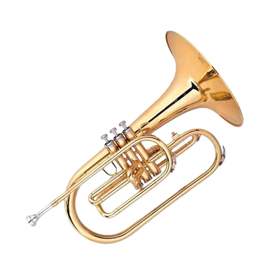 Marching Horn Melody Style Gold-Plated Bb Brass Body French Horn Baritone Range Smooth Valve Action Durable