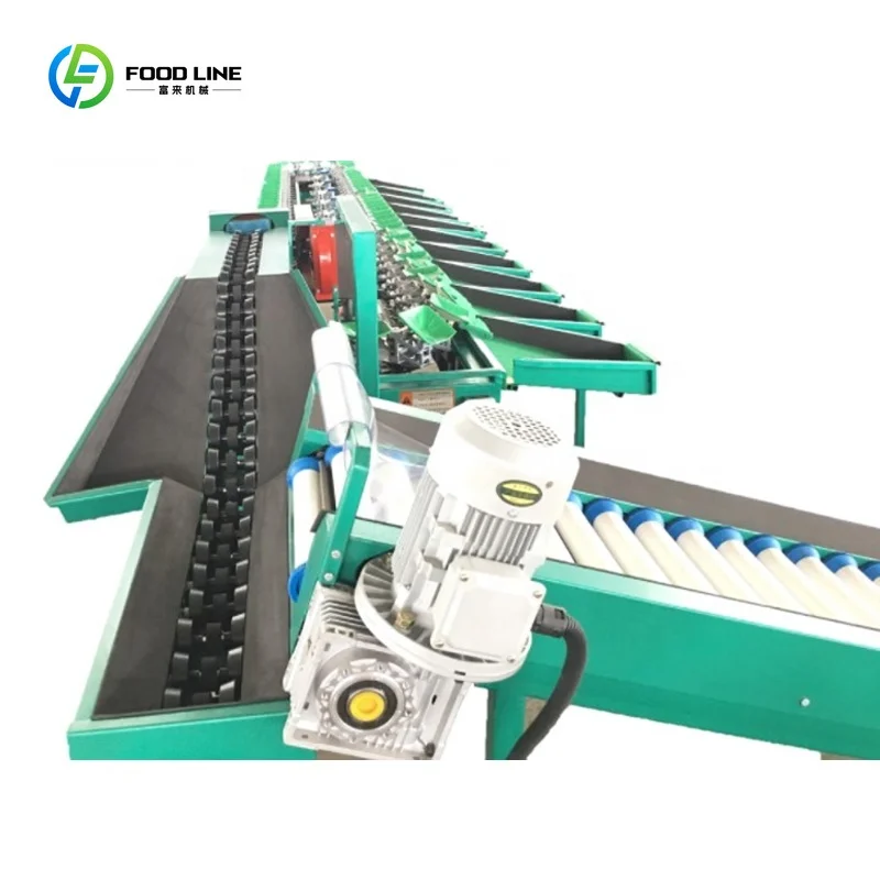 FOODLINE Customized Fruit Washing Waxing Drying Sorting Machine/ Fresh Lemon Citrus Fruit Grade Machine/ Fruit Sorter