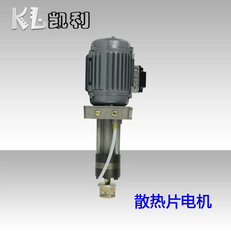 DZ2 نوع DZ1 عمودي رقيقة مجموعة مضخات تروس الزيت JPQ فاصل الزيت لكمة XHZ محطة تزييت الزيت رقيقة تدفق صغير هيدروليكي