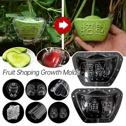 Square / Heart /Star Fruit Mold Garden Fruit Vegetable Ginseng Fruit Growth Forming Shaping Mould Tool Garden Nursery Pot