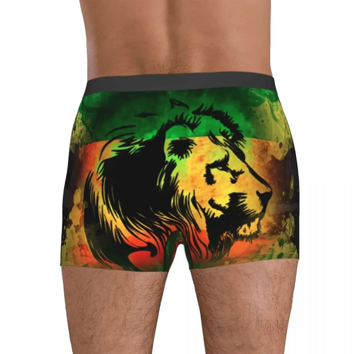 Boxer Underpants Shorts Rasta Lion Stripe 5 Panties Men Comfortable Underwear for Homme Man Boyfriend Gifts