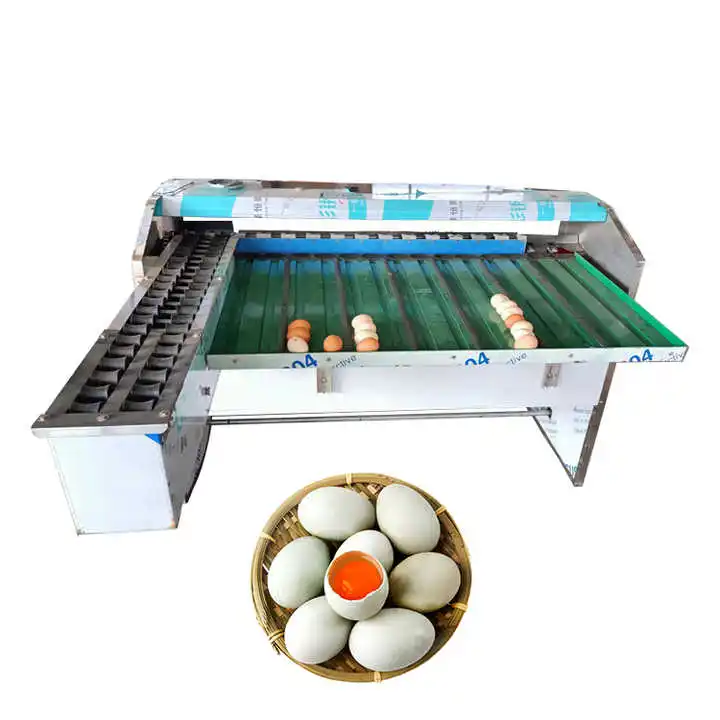 Automatic sorting machine packaging chicken  washer and grading machine