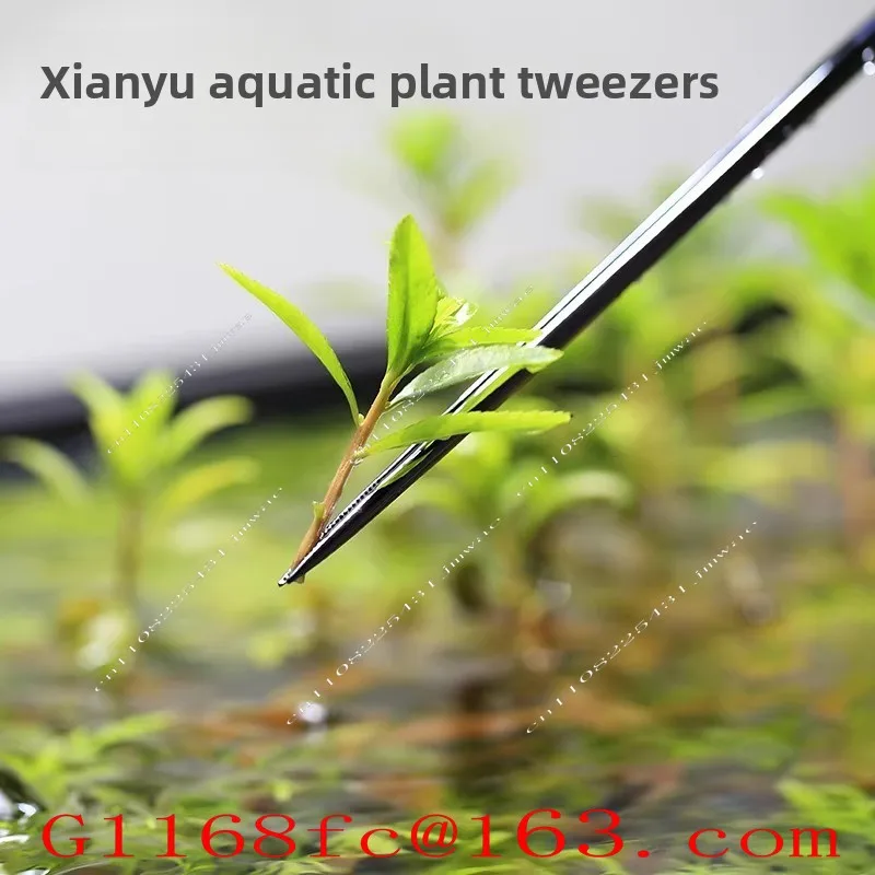 Stainless Steel Mirror Fish Tank Landscaping Water Grass Tweezers 25cm 33cm Straight Clip Curved Clip