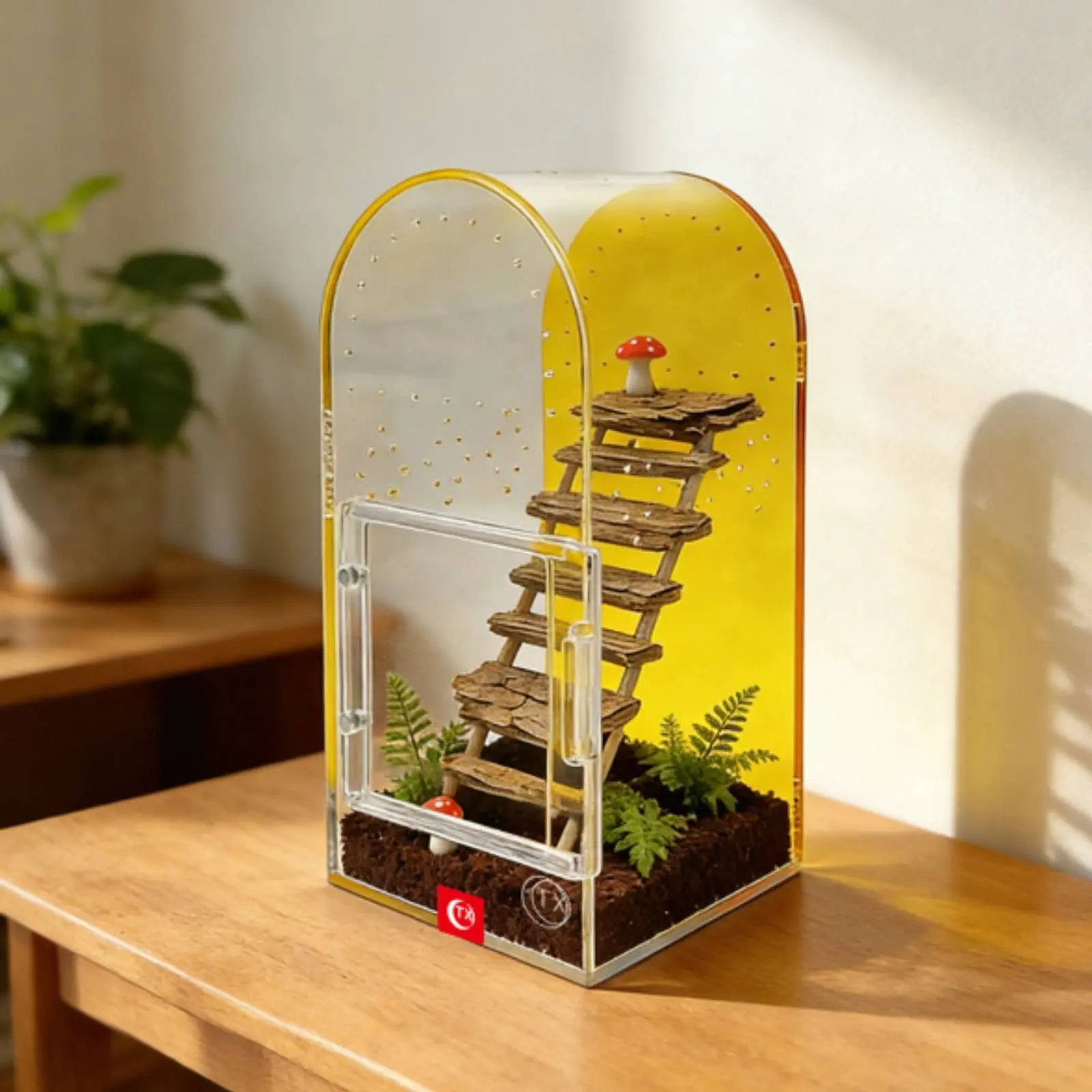 Acrylic Arachnid Breeding Box Installation-No-Cost Small Vivarium Arched Top Creature Enclosure High Clearness Terrarium