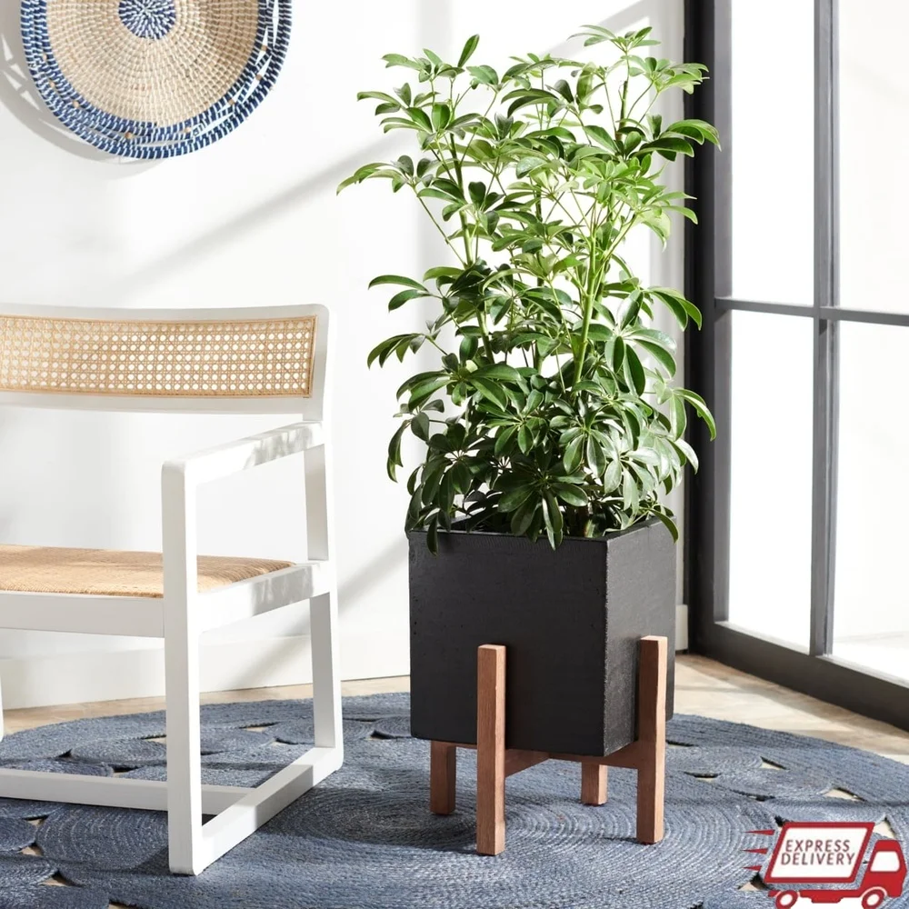 

Modern Glam Square Patio Planter Stand Weather Resistant Concrete Acacia Wood Stylish Outdoor Decor Assembly Required 21x19x17