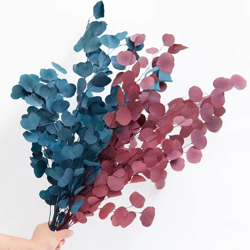 100G Preserved Euca…