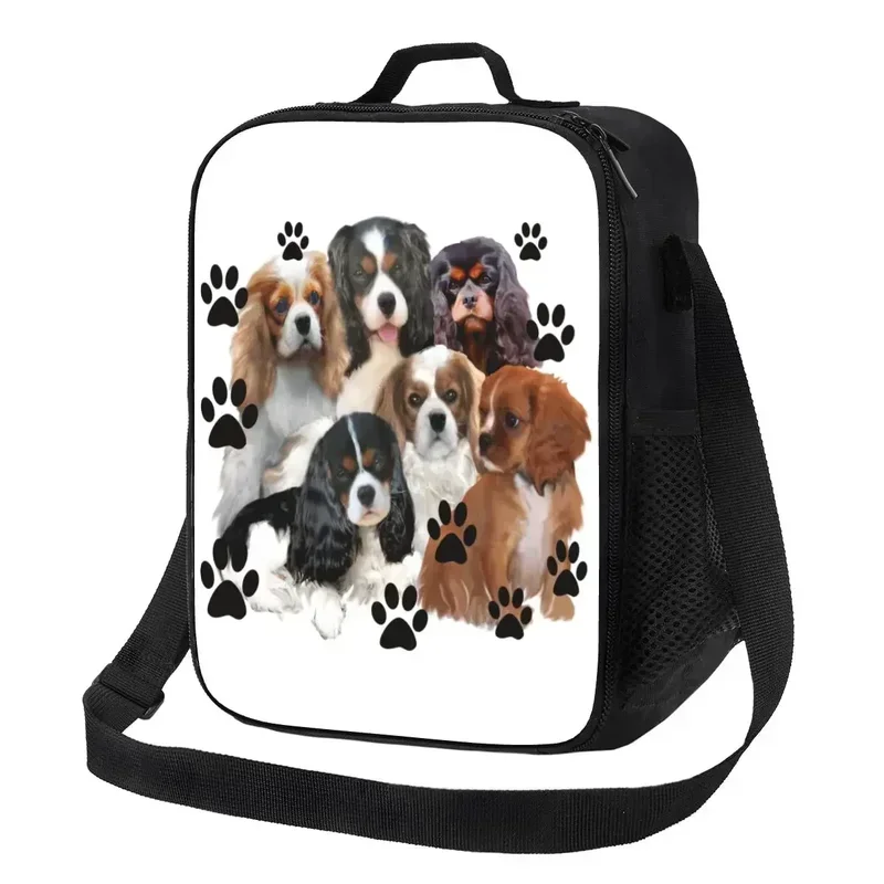 

Cavalier King Spaniel Family Group Insulated Lunch Tote Bag for Dog Cooler Thermal Food Box Outdoor Camping Travel