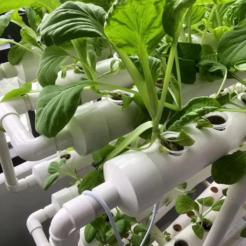 نظام أنبوب NFT المائي عموديًا - مجموعة النمو التجاري الصناعي PVC للزراعة الحضرية والدفيئة