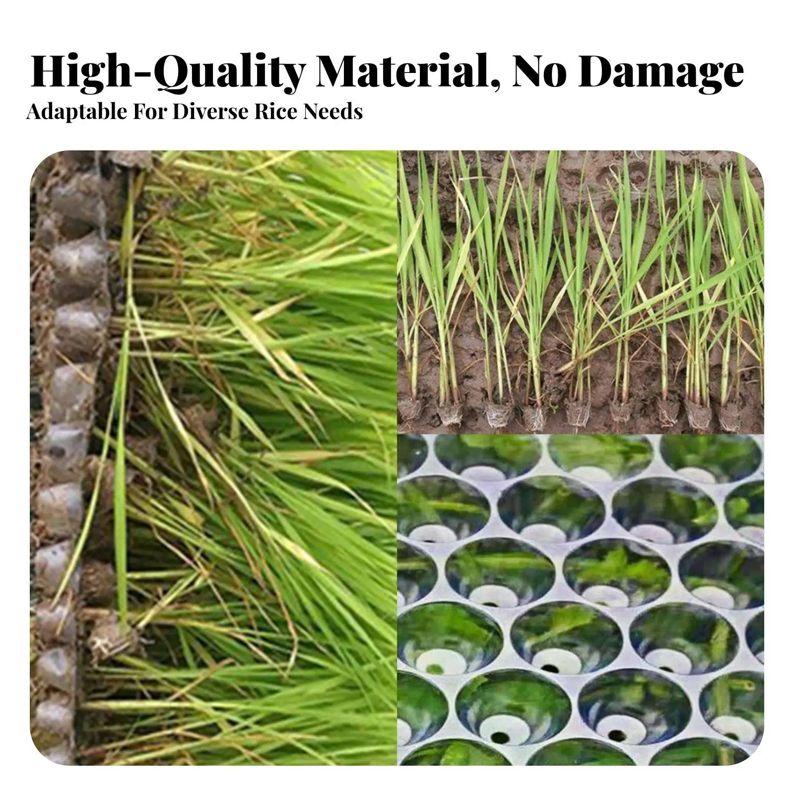 Rice Ling Tray Rice Transplanting Tray Defends Subterranean System Farming