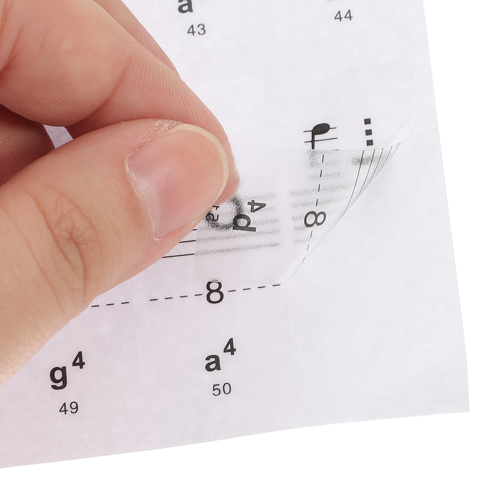 

Piano Keyboard Stickers Notes Numbers Music Accessories Transparent Electronic Introductory Decal Easy Install Remove Durable