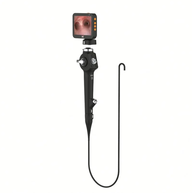 Veterinary Video Flexible Endoscope Bronchoscopy Gastroscopy Endoscopy System for Horse Dog Cat Sheep Cow with Biopsy