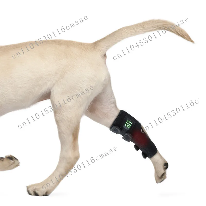 Home New Pet Physiotherapy Instrument Injury Recovery Cat and Dog Wound Healing Fracture Healing Portable Timing