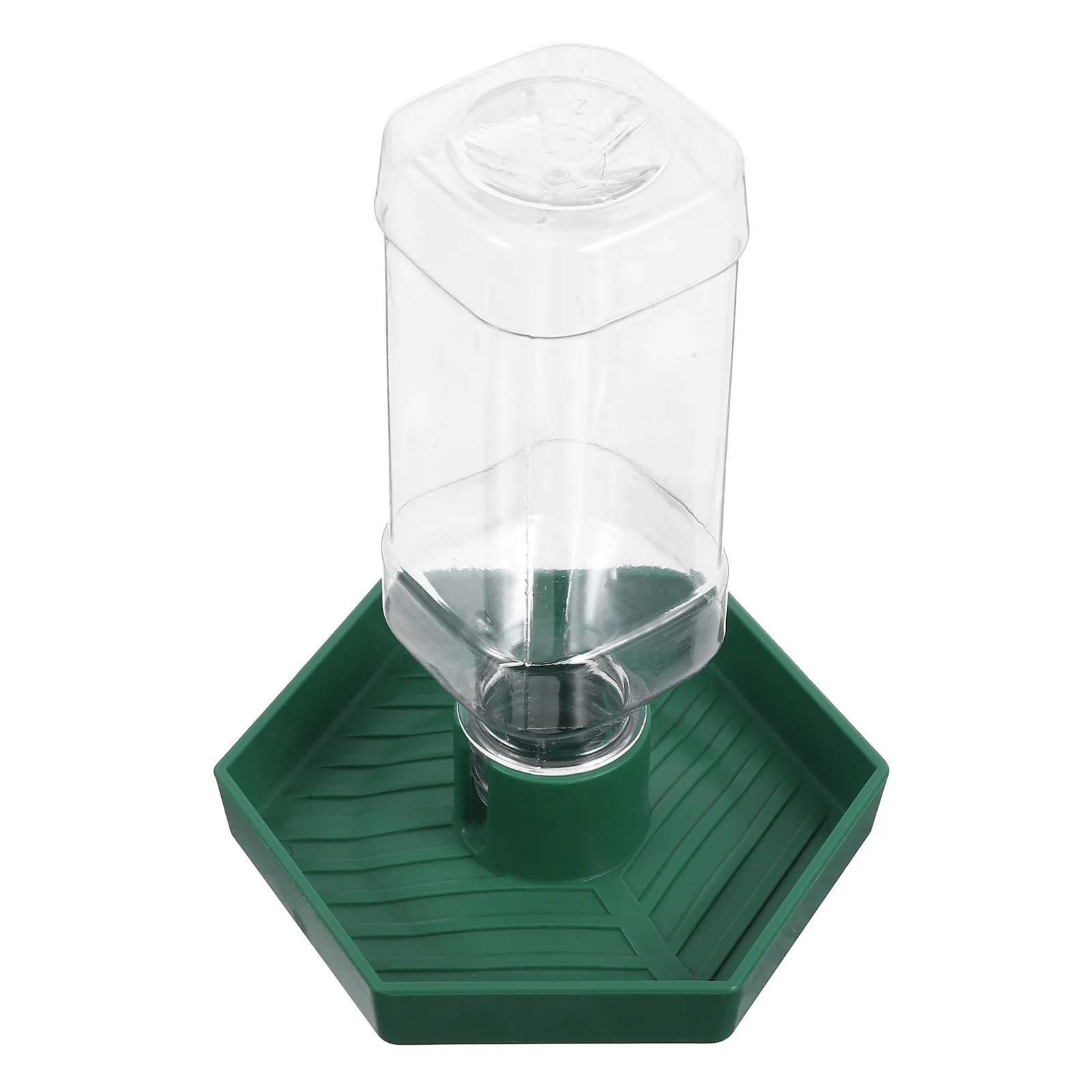 

Automatic Water Feeder Reptile Basin Supply Daily Use Waterer Pet Lizard Hydration Bowl Drinking Dispenser