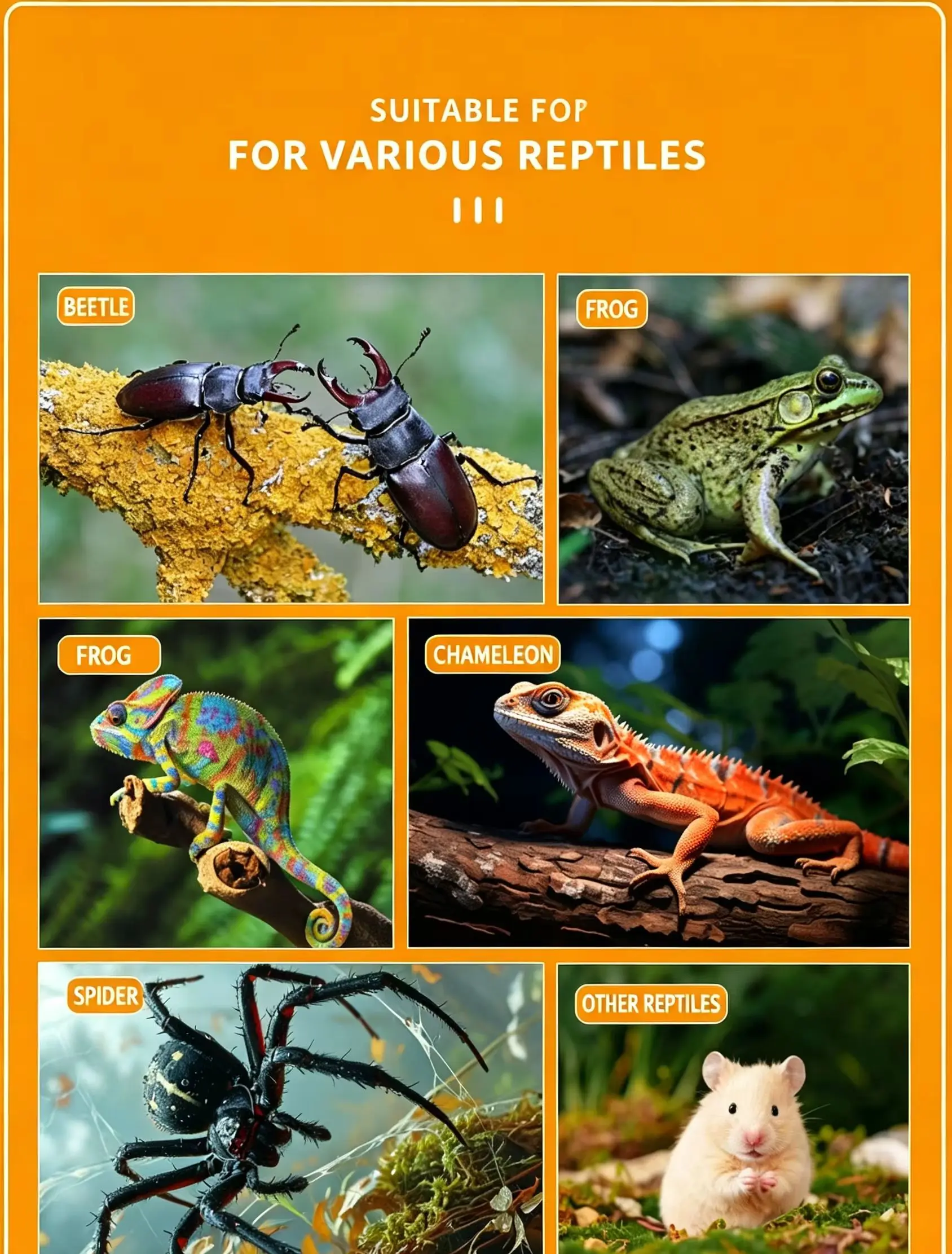 Thumbnail 3 - #18 Cages & Pens Comparison Guide