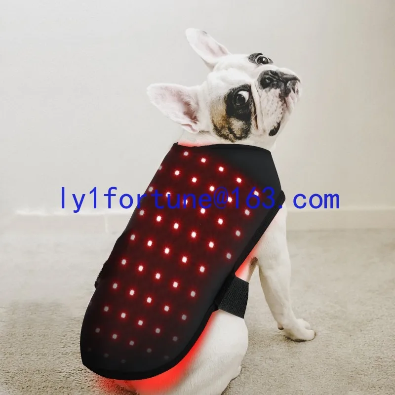 S-code red light infrared therapy for cats and dogs, recovery of back and abdominal injuries, fracture healing, wireless timing