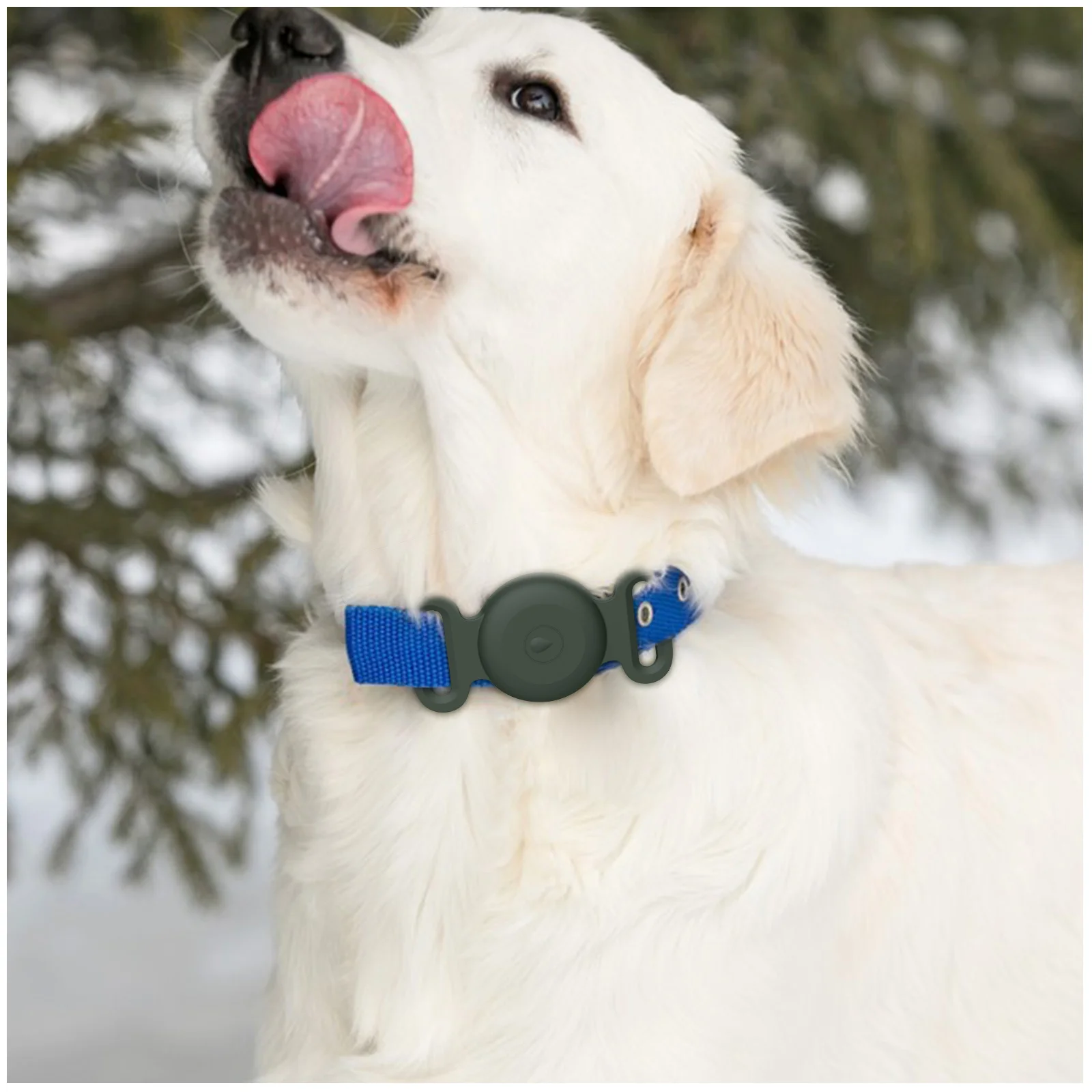 Silikonhülle für Apple AirTag, Hunde- und Katzenhalsband, GPS-Ortungsgerät, bunte, weiche Schutzhülle für Apple AirTag Tracker-Halter – Detail 9