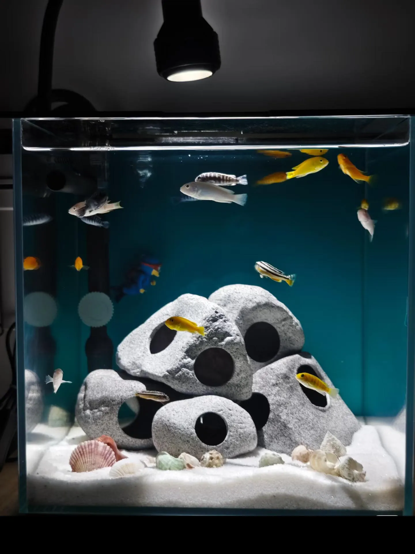 

Ceramics Fish Tank Cave Stone Landscaping Decoration Ornaments Clay Pot Shrimp Shelter Breeding Tank Aquarium Accessories