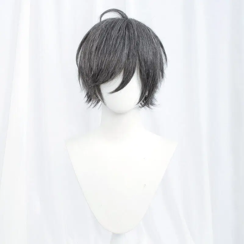 Perruque Cosplay Synthétique Courte Droite, Anime, Noir, Rouge, Bleu, 24 Couleurs, 30cm