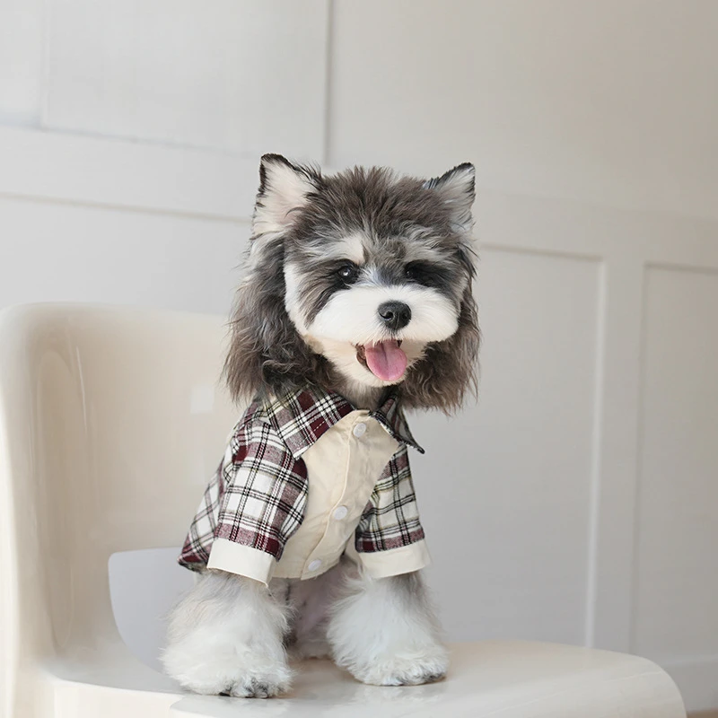 Pet Autumn/Winter Two Leg Checkered Shirt Color Blocked Collar Anti Hair Coat, Schnauzer Bear Puppy Dog Walking Coat Puppy