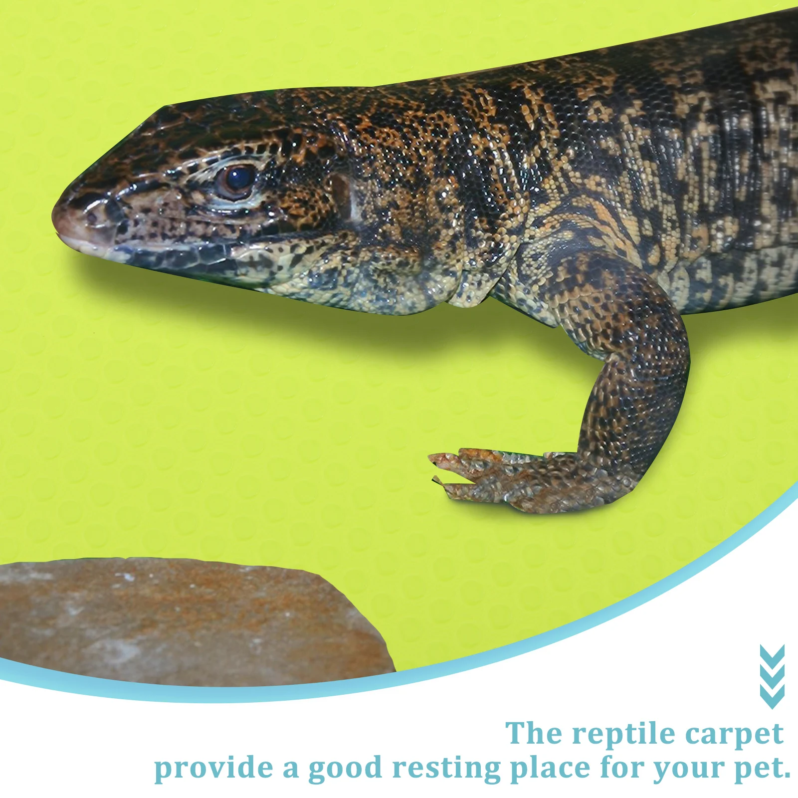 

Crawling Blanket Substrate Reptile Tank Terrarium Leopard Carpet Flooring Gecko Accessory Liner Ear Cage Mat