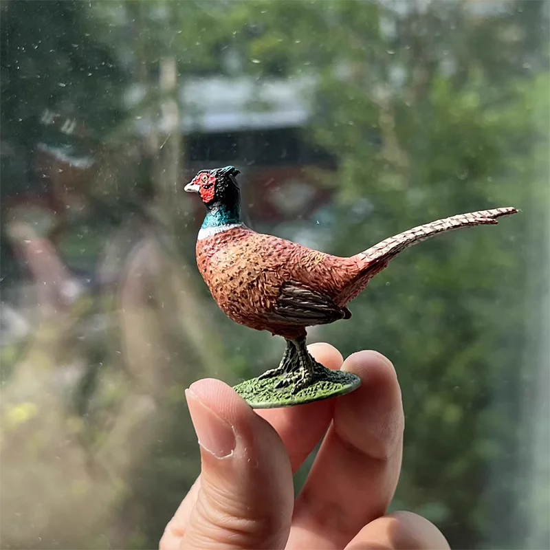 Mini Animal Model Resin Red Bellied Pheasant Decoration Toy Collection Display Gift Souvenir