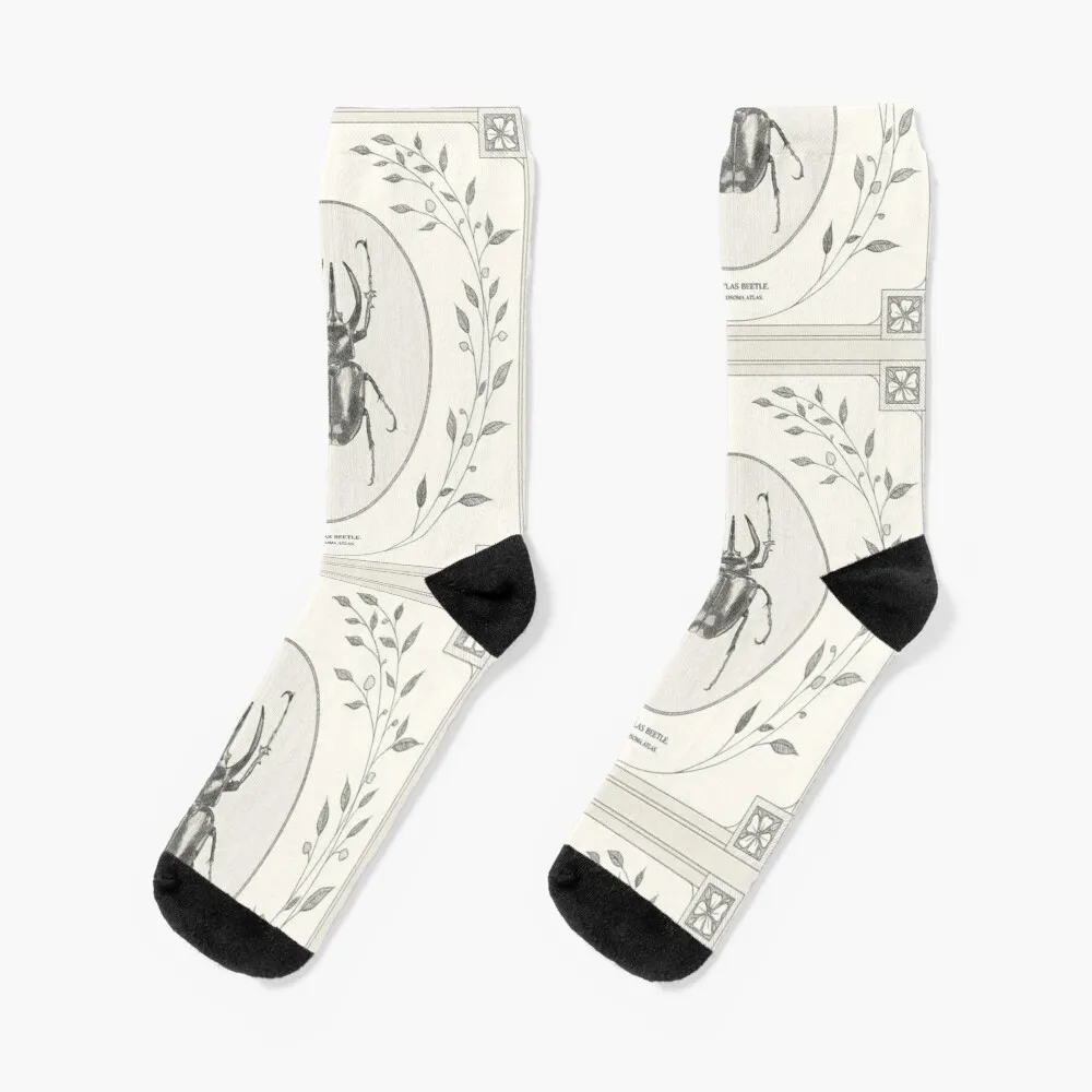 

The Atlas Beetle Socks Compression Stockings Socks Ladies