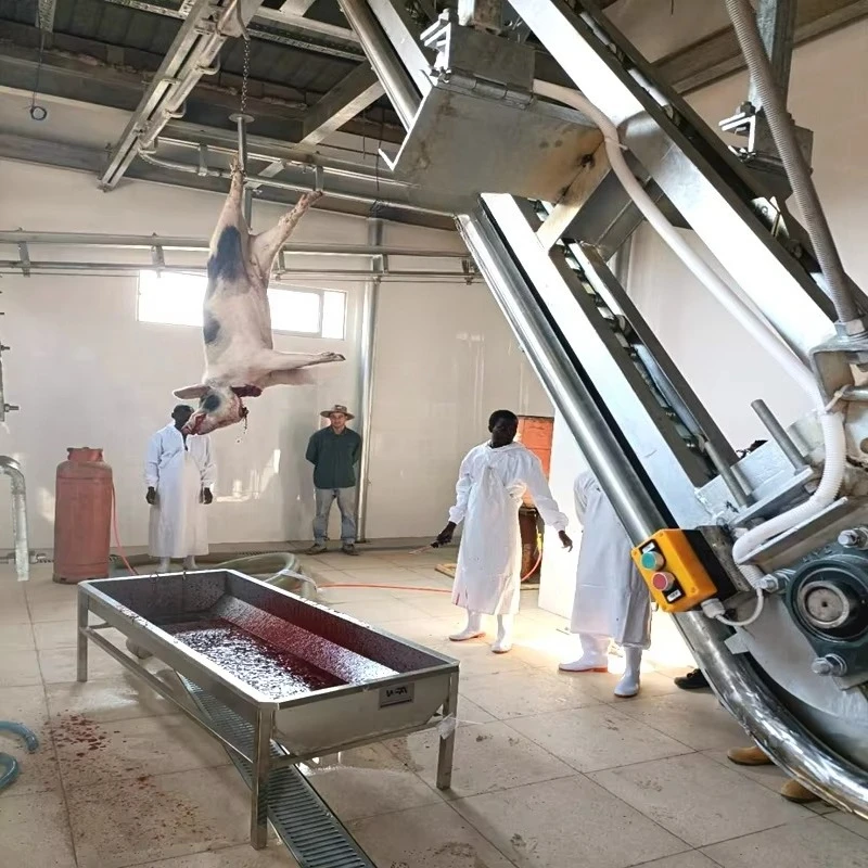 Complete 50 -100 Pig Per Day Small Abattoir Equipment for Pork Sow Butcher Slaughter Machine Mini Slaughterhouse