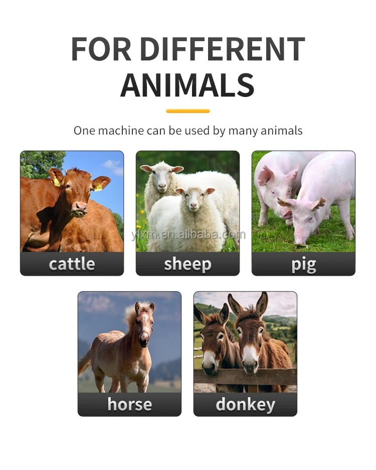 Veterinär Schwein Rinder Beschwichtigen Tester Automatische Tragbare Digitale Rinder Kuh Pferd Sau Ovulation Detektor