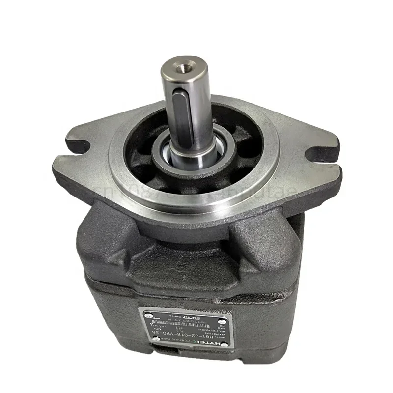 CP1 CP2 series hydraulic Injection Moulding Machine gear pump CP2-125-P-10R  CP2-160-P-10R CP0-13-P-10R  CP0-16-P-10R