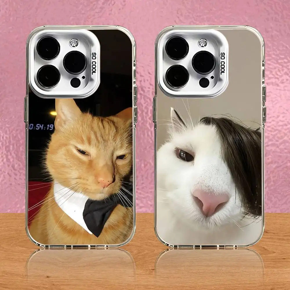 

Cute Cat Memes Phone Case For iPhone 16,15,14,13,12,11,Pro,Max,Plus,Mini,SE Grey White Matte Laser Back Cover