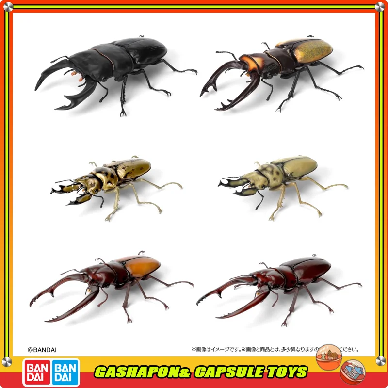 

Bandai Biological Encyclopedia Action Figures Model Stag Beetle Ornaments Desktop Ornament Official Genuine