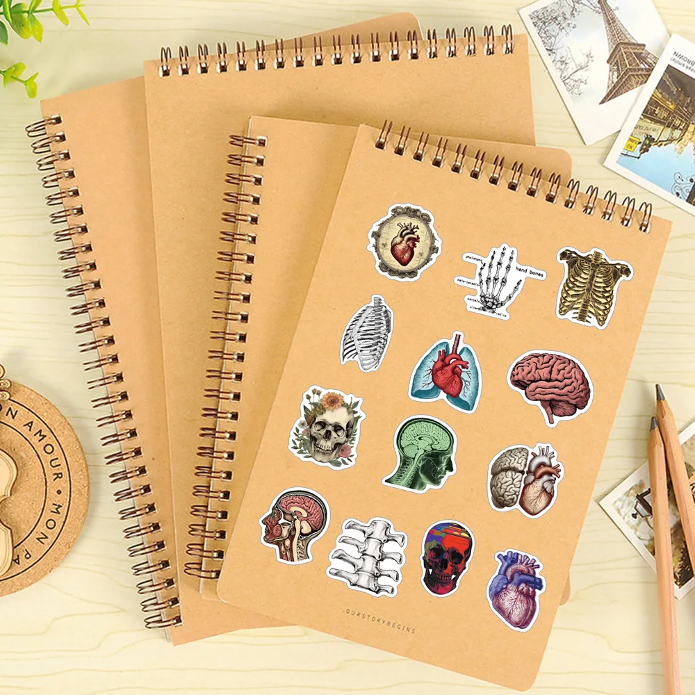 50 SZTUK Retro Anatomia Naukowa Ludzki Organ Naklejka Oko Serce Mózg Wątróbka Trunk Kończyny Kolekcja Artystyczna Dekoracja Etui na Telefon Kubek