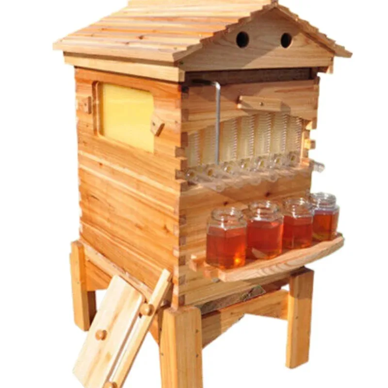Caja de abejas artesiana, colmena de abejas, juego completo automático, villa de abejas, venta al por mayor de colmena de miel artesiana, panal de miel y bazo.