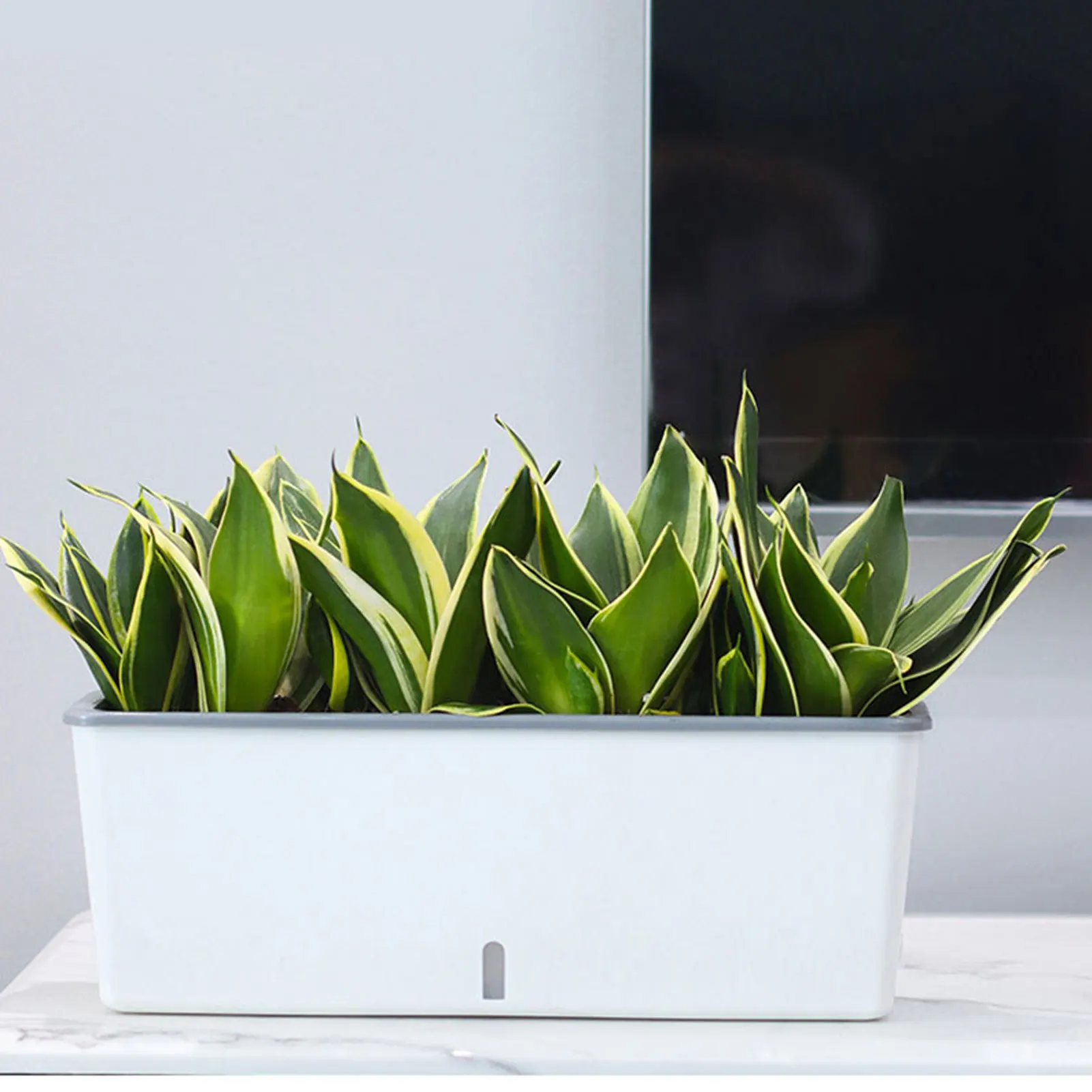 

Lazy Twin-Layer Planter Pots Long Strip Double Layer Flower Pot for Indoor Home Garden Accessories