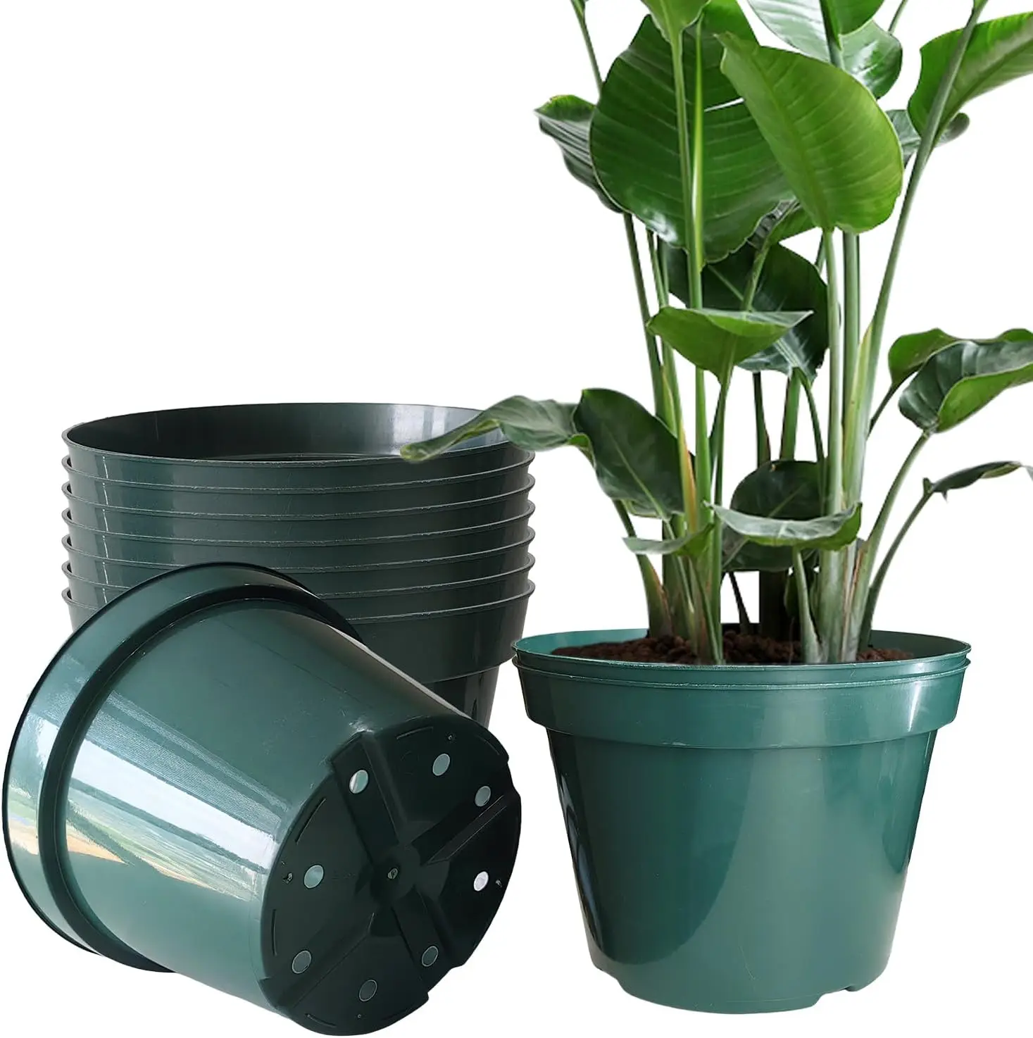 

10 Pack 10 Inch Green Plastic Planter Pots, Thick with Drainage Holes for Herbs, Strawberries, Flowers - Indoor Outdoor