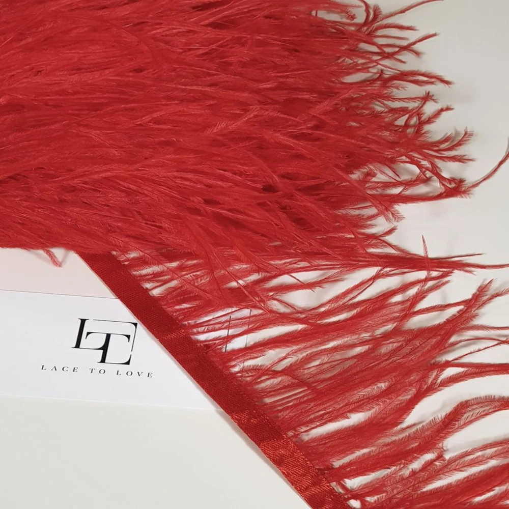 1 Meter Red Ostrich Feathers Trim Fringe 8-10CM Natural Plumes Decoration Ribbon for Wedding Party Dress Clothing Accessories