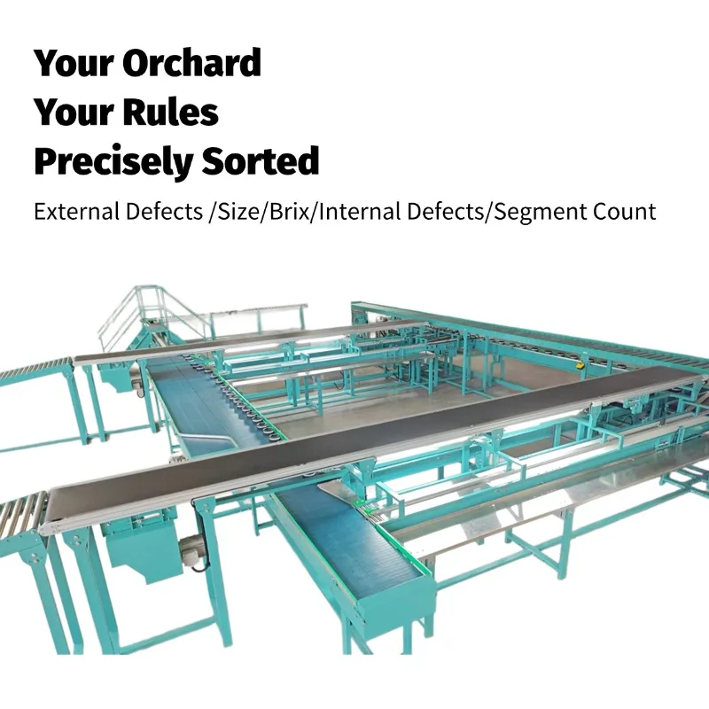 AGMA TOYAR FSL-1000 Motor-Powered Fruit Grading Sorting Washing Drying Equipment Flexible Configuration Fruit Processing Plant
