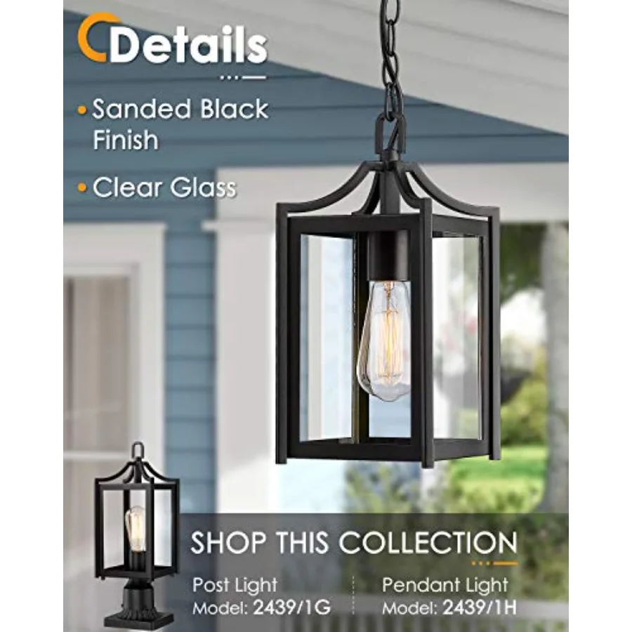 Outdoor Pendant Light, 14
