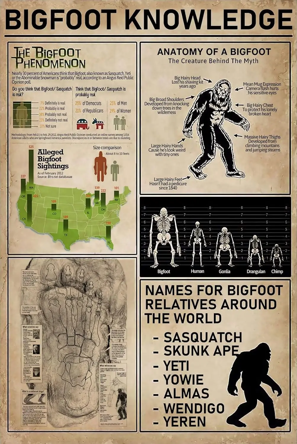 Affiche métallique Bigfoot Knowledge, plaque en étain vintage « Anatomie d'un Bigfoot », enseignement scientifique, école, café, bar, salon, cuisine