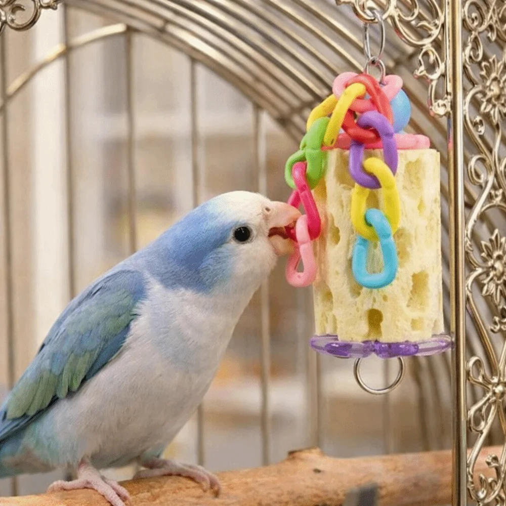 Funny Colorful Parrot Chewing Hanging Interactive Bird Foraging Bite Resistant Mouth Molar String Bird Training