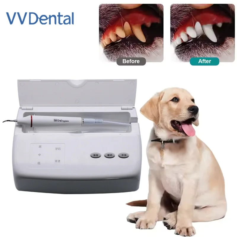 VV Dental Pet Animals Ultrasonic Scaler For Pets To Remove Theeth Calculus Tooth Cleaning Dental Instrument Tools Pet Hospital