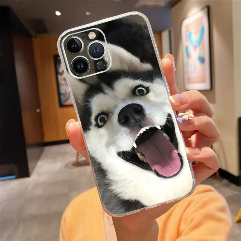 

Phone Case For iphone 17ProMax Air 16 15 14 13 Pro Max 15 16 Pro 15Plus Alaskan husky dog