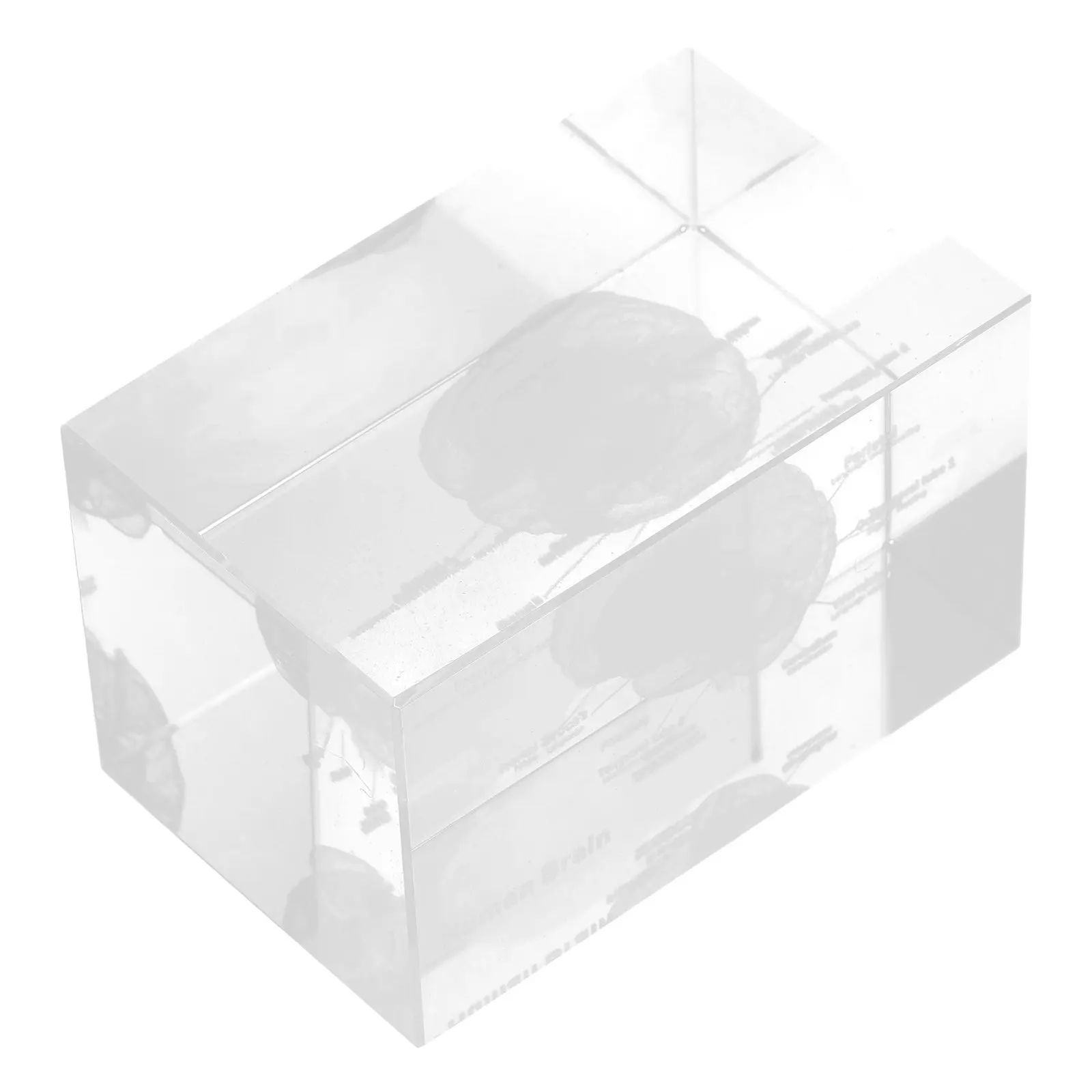 Crystal Human Brain 3D Anatomical Cube High Transparency Sculpture Scientific Office Home Decoration Educational Display