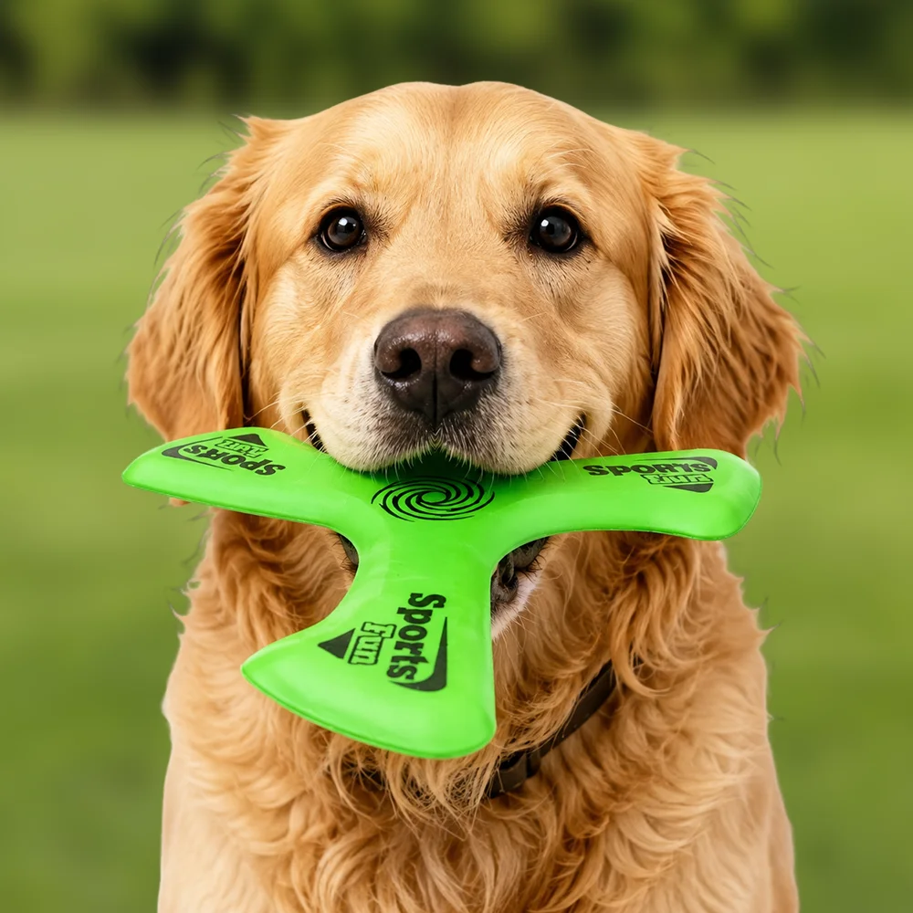 Flying Disc Dog Training Toy - Outdoor Interactive Dog Boomerang Toy Three